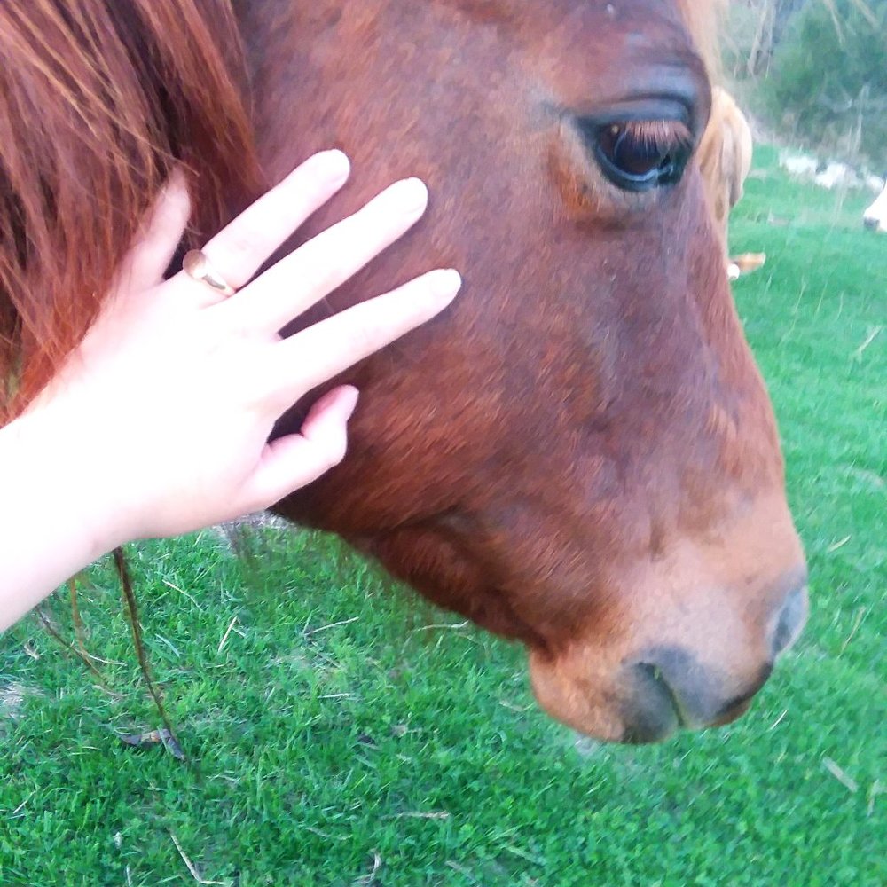 Meet your Posher, Rebekah